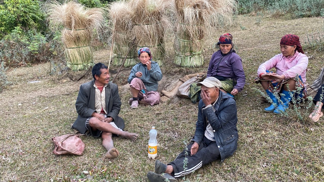 बर्खे गोठ छाउन को लागि भिरमा खर काटियो ।