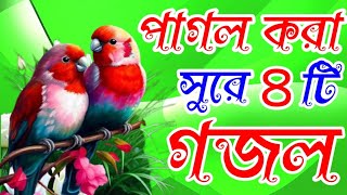 সংসার সংসার কইরা বভে গো বাংলা নতুন গজল। bangla new gojol. Islamic New song. very heart touching.