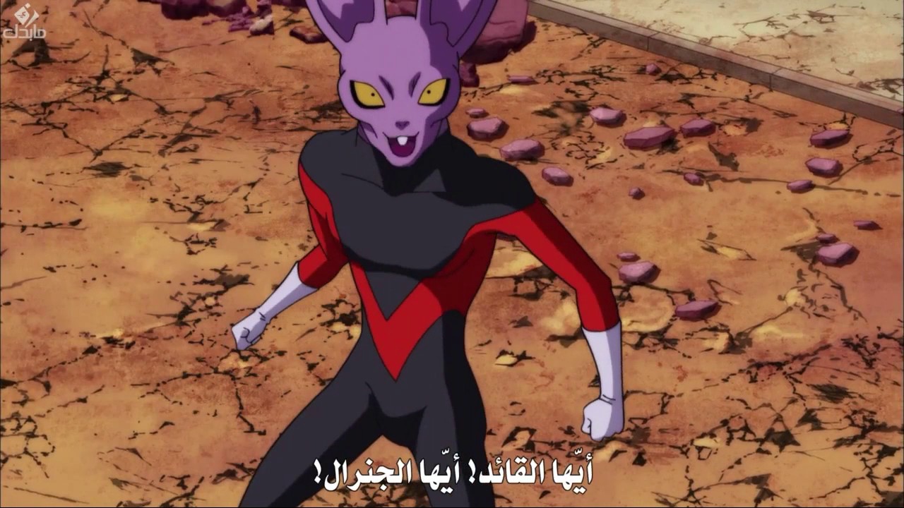 دراغون بول سوبر شبيه بيروس ضد الوحش من كون 11 - YouTube
