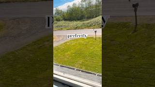 Straight lines #lawncare #fyp #oregoncoast #friday #lawnmaintenance