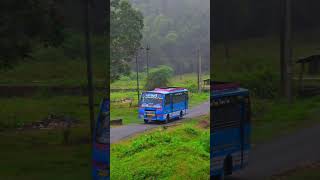 🫀Beautiful nature video ll WhatsApp nature video status ll #nature #whatsappstatus #naturesbeauty