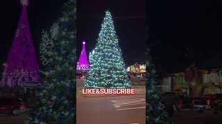 Asi es. #envidiosos #envidiosa #comedy