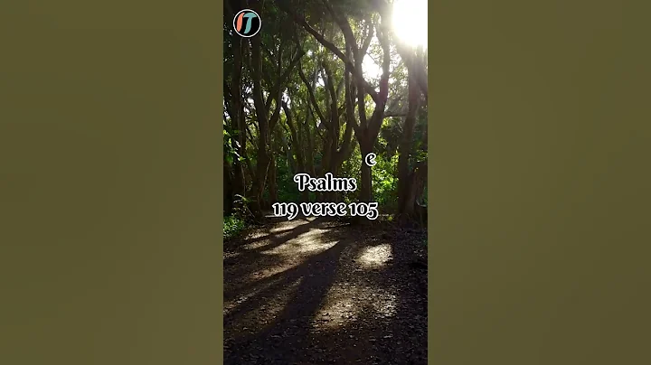 Lord Guide My Steps | Bible Verse - Psalms 119:105 #christianliving #bible #christianity
