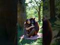 Recording the simple life in rural areas. Outdoor .. #funny #comedy #memes #music #soundeffects