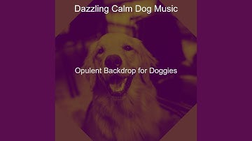 Opulent Backdrops for Cute Dogs