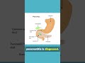 Quiz 7: Case on Acute Pancreatitis