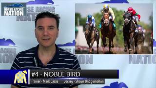 Race of the Week: G1 Stephen Foster featuring LEA & Hoppertunity (Video)