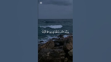 لا إله الا انت سبحانك اني كنت من الظالمين / سورة النصر