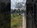 Bandipur Traffic #travelshorts #travel #bandipur #ooty #shorts #youtubeshorts #traffic #christmas