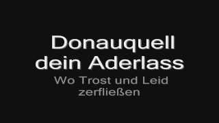 Rammstein - Donaukinder (lyrics) HD