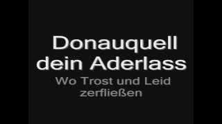 Rammstein - Donaukinder (lyrics) HD