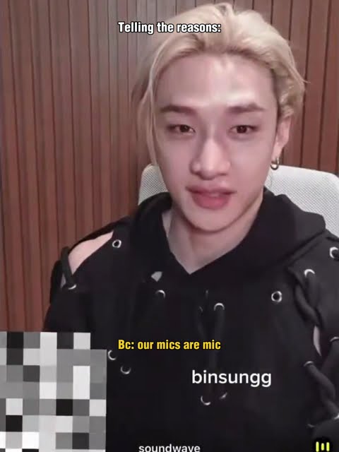 Why skz got no customised mics? 🎤🎤 #straykids #bangchan #customisedmics #reasons