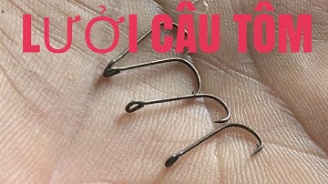 RIVIEW- HAI BÀI HÒ TÔM-SỬA LƯỞI CÂU TÔM