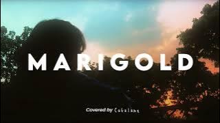【 Si Anas / Cakalanq】Marigold - Aimyon (Acoustic  Cover)