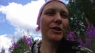 Рецепт Иван чая Рецепт Иван чая