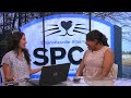 Community Conversation: Lauren Thomas with CASPCA (09-28-26)