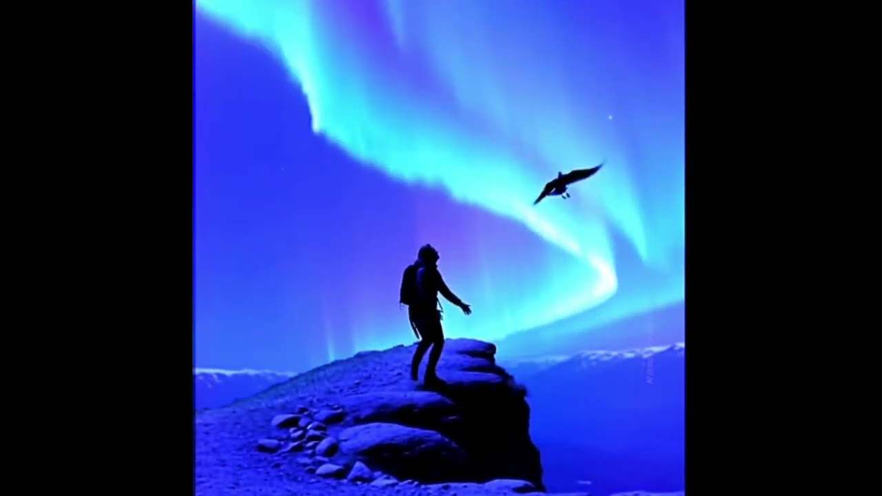 T2N-Die meisten haben einen Vogel 