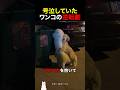 号泣していたワンコの逆転劇