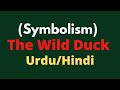 The wild duck symbolism  symbolic analysis o f the wild duck