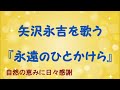 『永遠のひとかけら』/矢沢永吉を歌う_351 by 自然の恵みに日々感謝