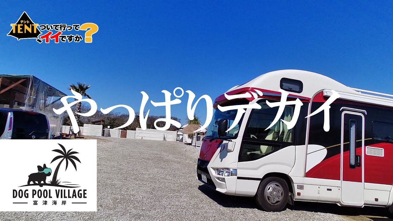キャンピングカー（ボーダーバンクス）で犬とキャンプ「Dog Pool Village富津海岸」テントついて行ってイイですか？