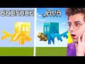 DIFFERENZE tra MINECRAFT BEDROCK vs MINECRAFT JAVA 1.19 ITA