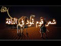 شعر قوم ثمود في الناقة 