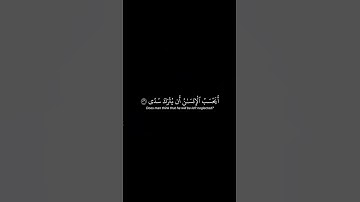 أذكر الله | سورة القيامة الأية 30-40 #quran #اكسبلور