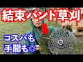 【知らなきゃ損】結束バンドを使っての草刈りが究極。これ以上の方法はないであろう！！