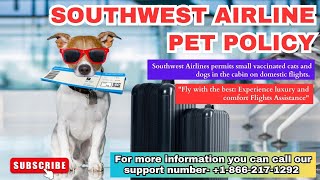 How to travel with pet in flight || Southwest airline pet policy