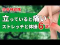 坐骨神経痛で立っていると痛む時のストレッチと体操6選