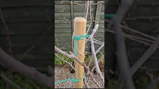 VID 20231223 WA0002
