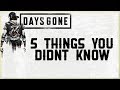 5 THINGS YOU DIDN'T KNOW ABOUT DAYS GONE - TIPS TRICKS AND QUIRKY FEATURES