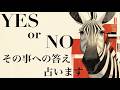 【ハッキリ‼️イエス・ノー】その事への答え‎🤍🖤YES or NOでバシッとお答えします👌🏻【タロット占い・ルノルマン・オラクル・リーディング】