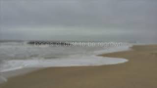 Victoria Carbol - Wraith By The Sea (Word Blurb #2)