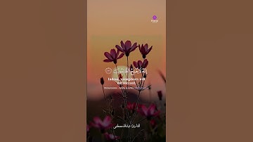 استمع بروحك قبل أذنك.. تلاوة خاشعة مؤثرة جدًا 🎧❤️