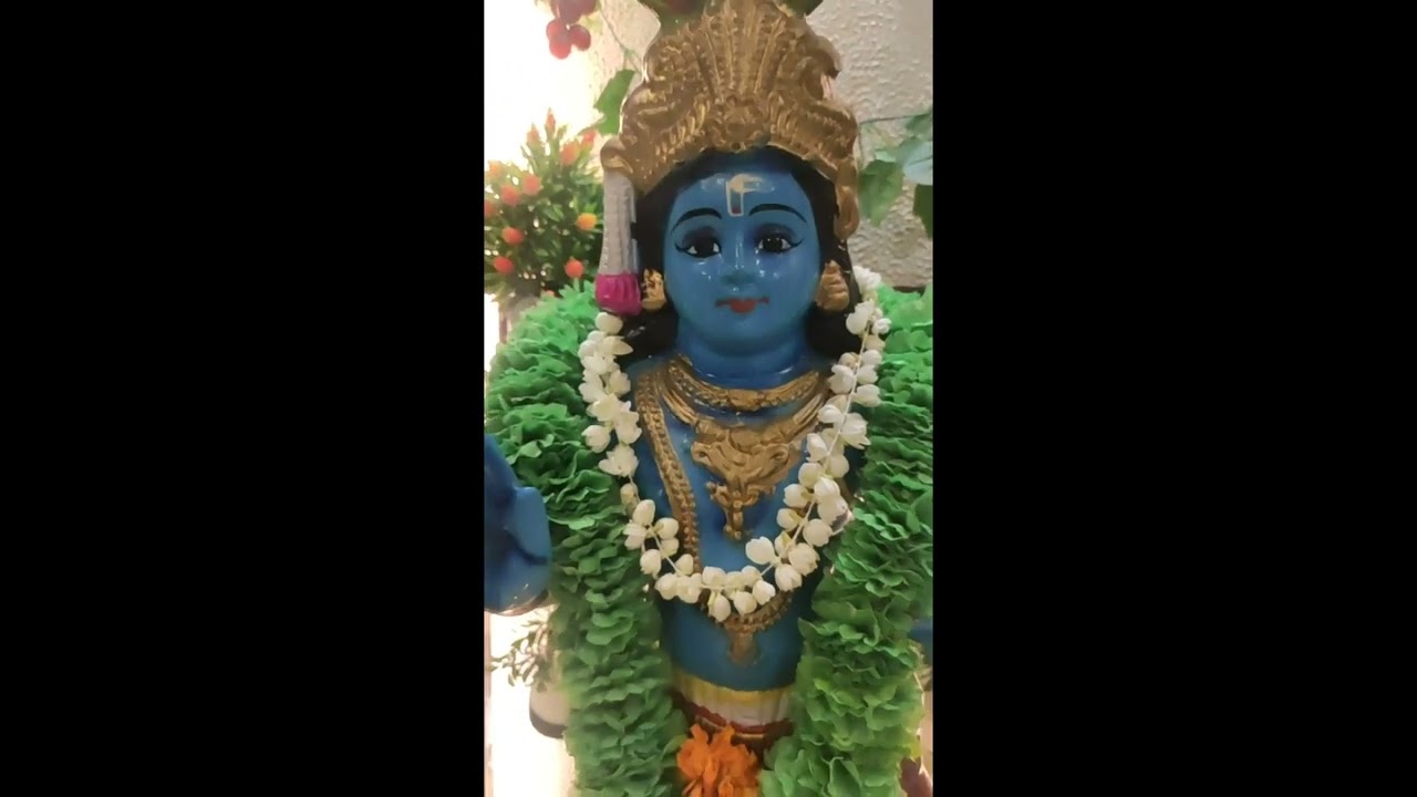 Vishu Celebration Video 2022