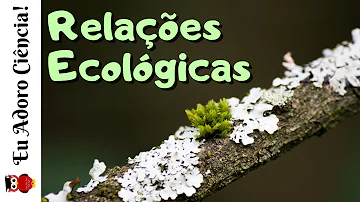 O que é uma relação ecológica desarmônica?