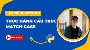 Thực hành cấu trúc match-case trong Python | Bài 16.3 | Lập trình Python Cơ bản | Tự học lập trình