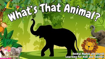 Animals for Kids | 2 Hour Animal Sounds & Names Compilation | Zoo, Wild, Farm & Sea Animals