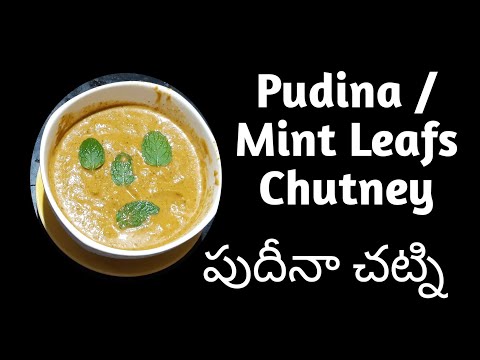 Pudina Chutney / Mint Leafs Chutney / పుదీనా చట్ని