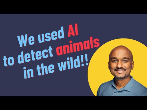 Exploring the Power of Deep Learning for Animal Detection in the Wild