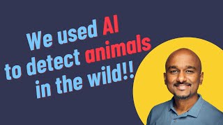 Exploring the Power of Deep Learning for Animal Detection in the Wild Wealth