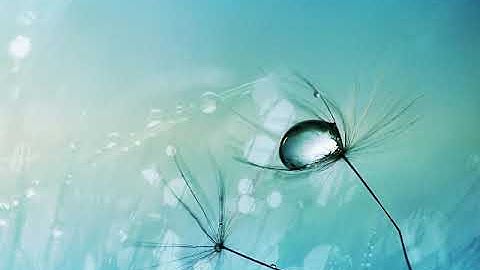 ماتيسر من القرٱن الكريم بصوت القارئ أحمد الدباغ الجزء السادس