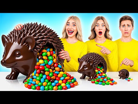 Big, Medium and Small Plate Challenge | Cool Creative Hacks by Multi DO Joy