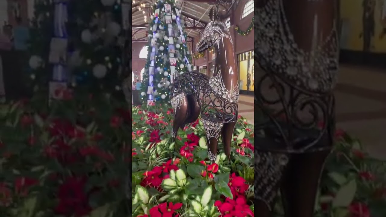 Disney Springs Christmas Tree Trail at Walt Disney World