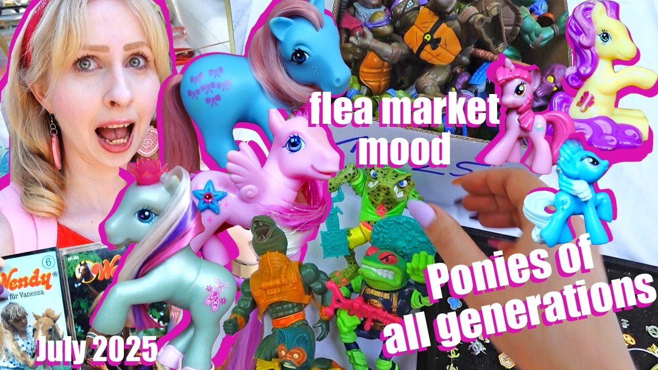 In a TOY HUNTING mood ~ finding My Little Pony of all gens & action figures - MotU, knock-off, TMNT
