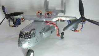 Osprey Bicopter Twincopter DIY Settings