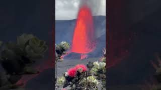 Kilauea Volcano Erupts 1000-Foot Fiery Lava Fountain