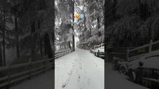 Heavy Snowfall - Shimla 🏔️❄️#pov #snow #winter #travel #mountains #white #2026 #latest #update